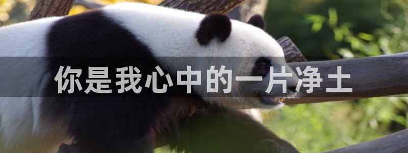 妈妈的朋友西瓜电影