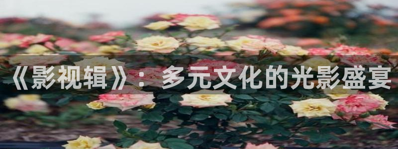 西瓜糖心