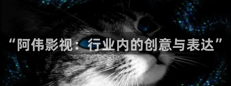 灵魂摆渡第一季西瓜影院