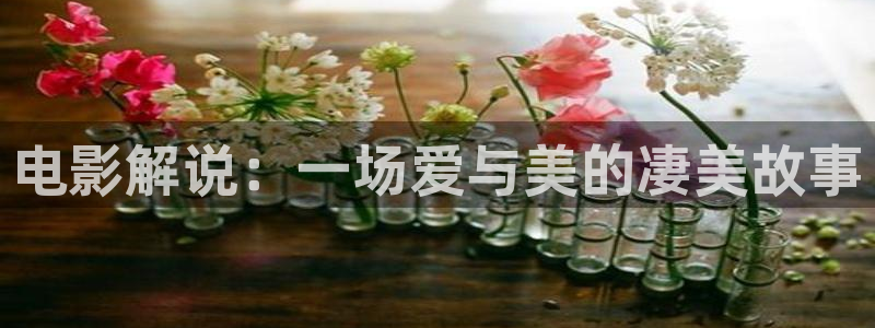 老爸当家全集在线观看免费西瓜