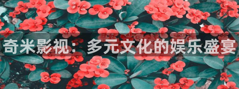 伦理片西瓜