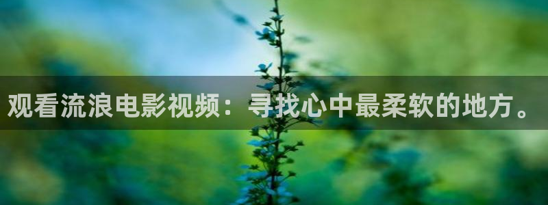 午夜剧院西瓜影院