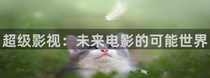 灵魂摆渡第一季西瓜影院