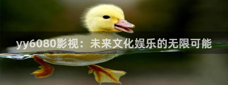 西瓜影院高清免费观看电视剧软件特