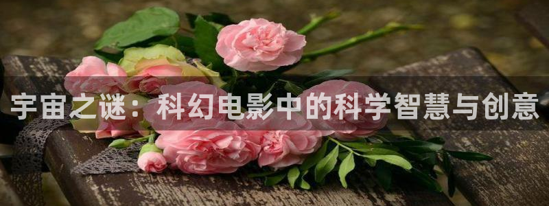西瓜视频免费下