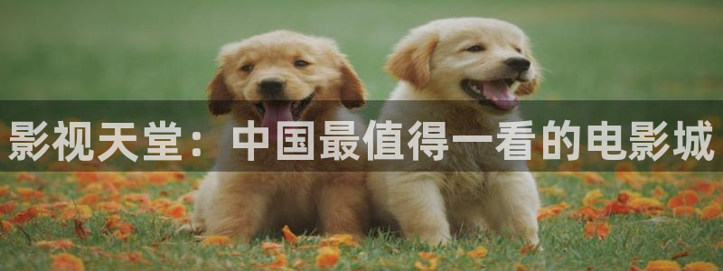 www西瓜视频
