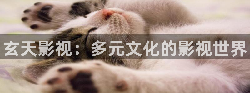 环太平洋西瓜影院