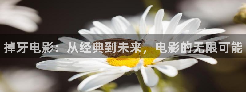 西瓜视频大全免费