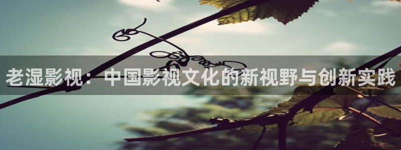 西瓜影院短剧
