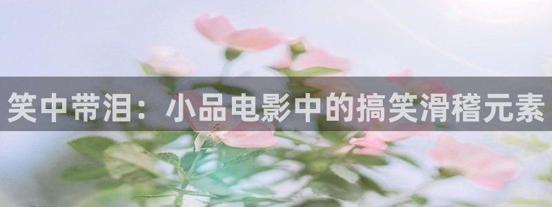 西瓜网在线观看免费