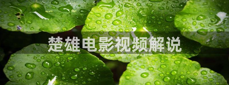 玉楼春免费观看全集完整版西瓜