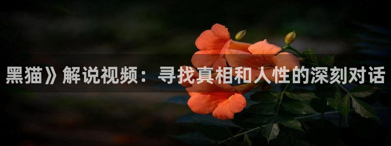 大西瓜视频
