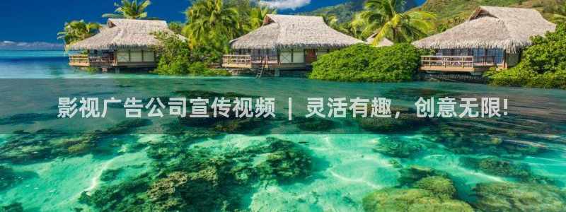 下载一个西瓜视频