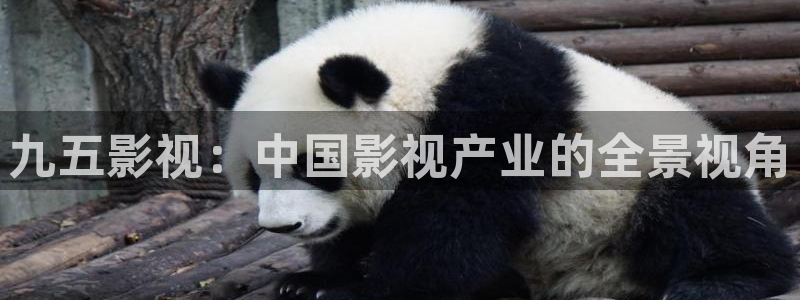 77西瓜影院
