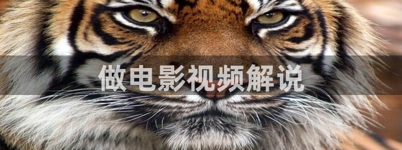 西瓜影院免费观看