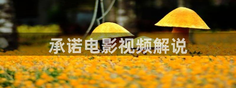 色戒西瓜在线