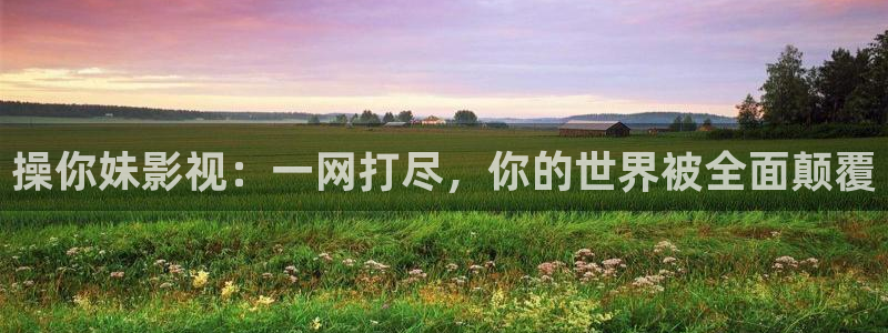 江照黎明在线观看免费西瓜