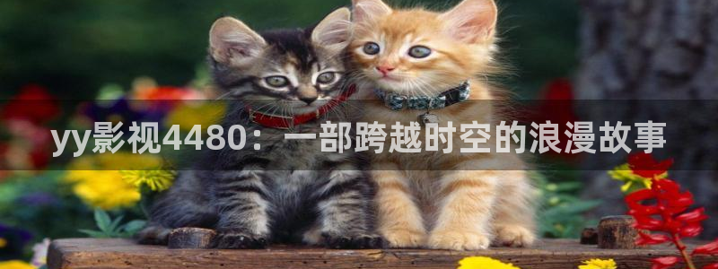 西瓜影院电影电视剧