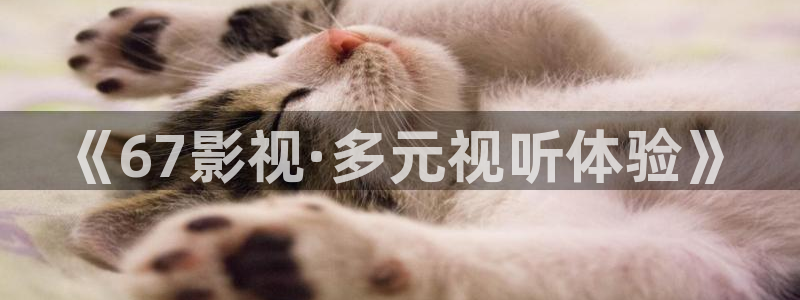 西瓜辽宁
