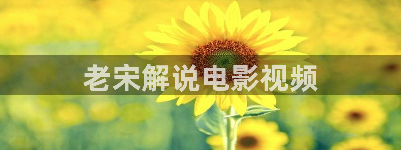 西瓜影视看电视剧