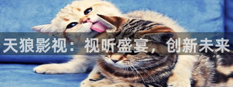 飘雪西瓜电影完整版在线观看