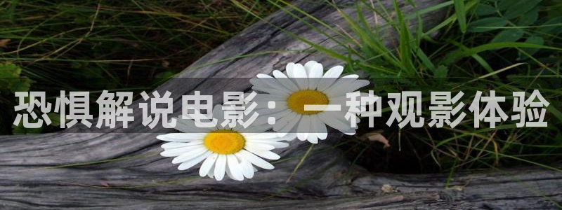 西瓜影院网页版