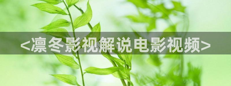 西瓜影院手机在线