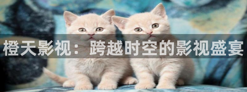 万界仙踪免费观看西瓜