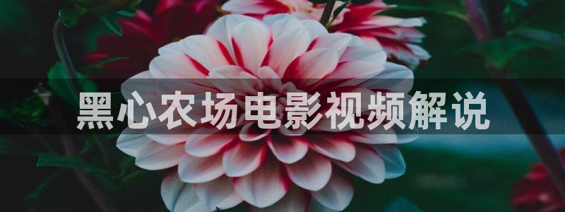 西瓜天狼影院在线观看免费高清电视
