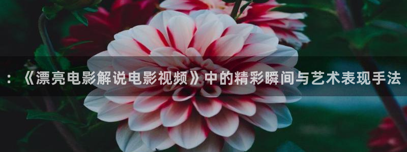 西瓜影视