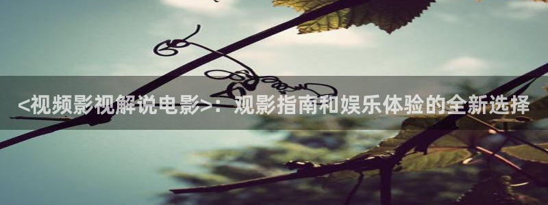 西瓜短视频全部免费