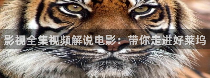 帝锦电视剧免费观看西瓜