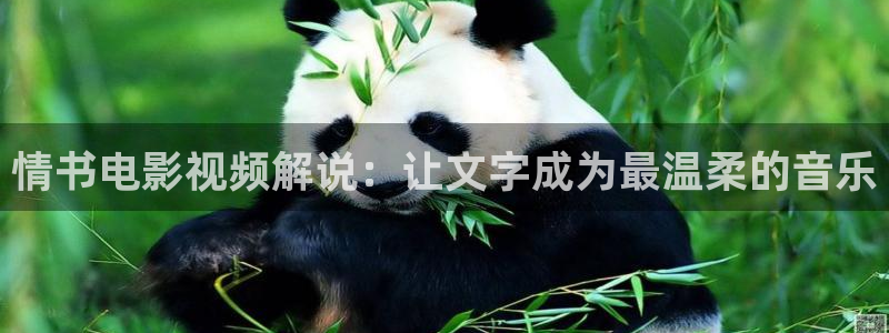 电视剧秋蝉免费全集西瓜影院