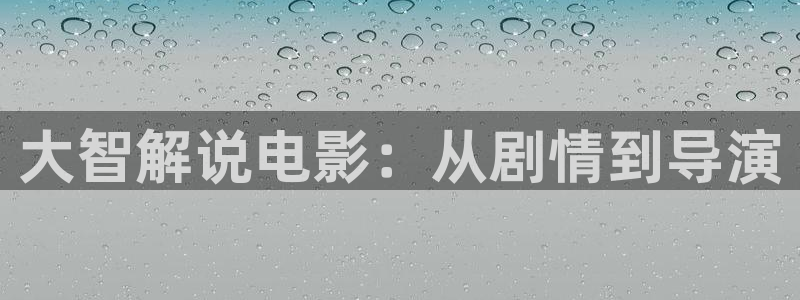 东北往事之黑道风云20年西瓜影院